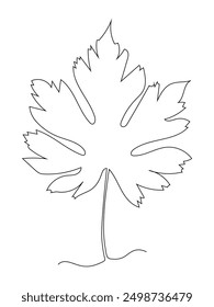 Continuous one line art drawing maple leaf