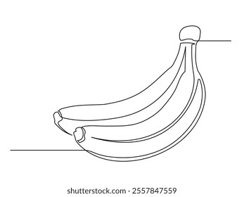 Continuous one line banana bunch isolated on white background. Simple fruit silhouette. Hand drawn banana outline. Vector illustration