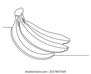 Continuous one line banana bunch isolated on white background. Simple fruit silhouette. Hand drawn banana outline. Vector illustration