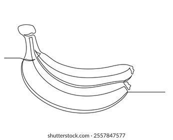 Continuous one line banana bunch isolated on white background. Simple fruit silhouette. Hand drawn banana outline. Vector illustration