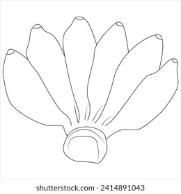 Diseño continuo de un banano de una línea de trazado de la ilustración vectorial de línea