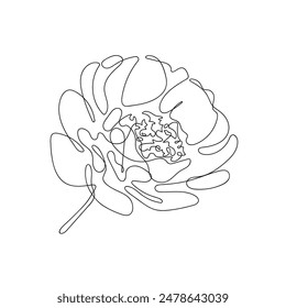 Durchgehend eine Linie von schönen Blumen. Minimalistische botanische Illustration. Pfingstrose oder Rose isoliert auf weißem Hintergrund. 