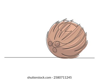 Continuous one line brown coconut isolated on white background. Simple plant silhouette. Hand drawn coconut outline. Editable stroke. Vector illustration