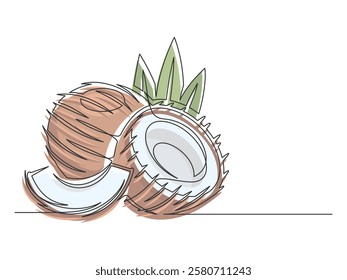 Continuous one line brown coconuts with palm leaves isolated on white background. Simple plant silhouette. Hand drawn coconuts outline. Editable stroke. Vector illustration