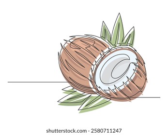 Continuous one line brown coconuts with palm leaves isolated on white background. Simple plant silhouette. Hand drawn coconuts outline. Editable stroke. Vector illustration