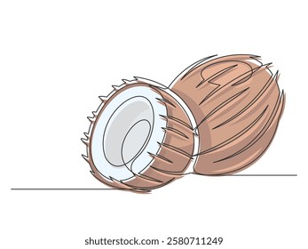 Continuous one line brown coconuts isolated on white background. Simple plant silhouette. Hand drawn coconuts outline. Editable stroke. Vector illustration