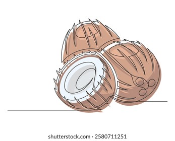 Continuous one line brown coconuts isolated on white background. Simple plant silhouette. Hand drawn coconuts outline. Editable stroke. Vector illustration