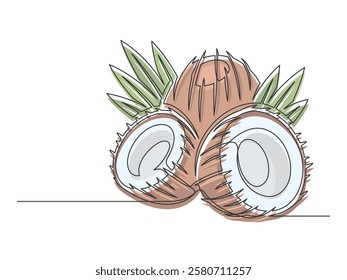 Continuous one line brown coconuts with palm leaves isolated on white background. Simple plant silhouette. Hand drawn coconuts outline. Editable stroke. Vector illustration