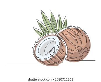 Continuous one line brown coconuts with palm leaves isolated on white background. Simple plant silhouette. Hand drawn coconuts outline. Editable stroke. Vector illustration