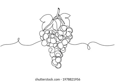 Continuous one line of bunches of grapes in silhouette. Linear stylized.Minimalist