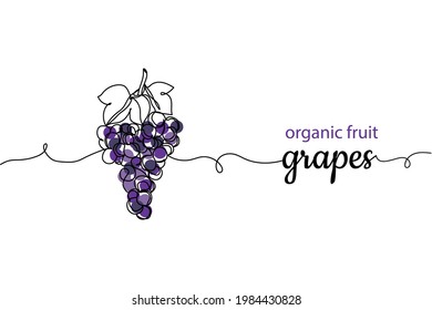 Una línea continua de racimos de uvas en silueta. Linear estilizado.Minimalista. Uvas de fruta orgánica