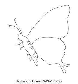 Continuous one line butterfly flying single line outline art drawing illustration
