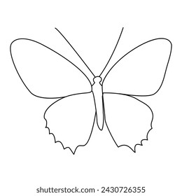 Continuous one line butterfly outline vector isolated on white background. Vector Illustration