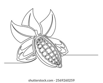 Continuous one line cacao beans branch with leaves isolated on white background. Simple vegetable silhouette. Hand drawn cacao beans branch outline. Vector illustration