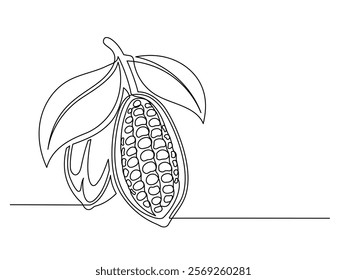 Continuous one line cacao beans branch with leaves isolated on white background. Simple vegetable silhouette. Hand drawn cacao beans branch outline. Vector illustration