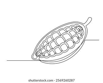 Continuous one line cacao beans plant isolated on white background. Simple vegetable silhouette. Hand drawn cacao beans outline. Vector illustration