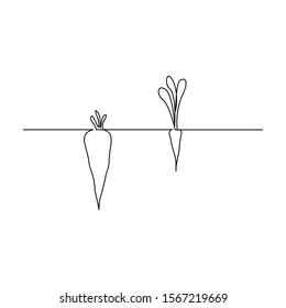 Continuous one line carrot in ground . Two carrots with a large and small shoot.  Appearances are deceptive. Vector stock illustration.