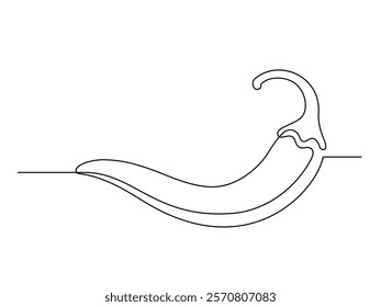 Continuous one line chili pepper isolated on white background. Simple vegetable silhouette. Hand drawn chili pepper outline. Vector illustration