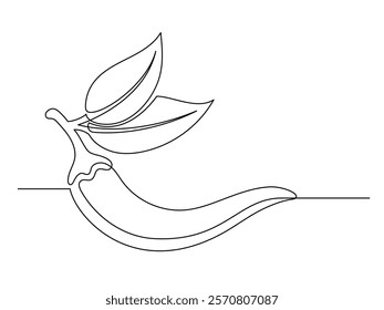 Continuous one line chili pepper with leaves isolated on white background. Simple vegetable silhouette. Hand drawn chili pepper outline. Vector illustration