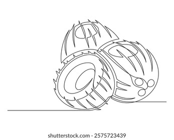 Continuous one line coconuts isolated on white background. Simple plant silhouette. Hand drawn coconuts outline. Editable stroke. Vector illustration