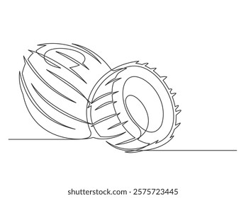 Continuous one line coconuts isolated on white background. Simple plant silhouette. Hand drawn coconuts outline. Editable stroke. Vector illustration