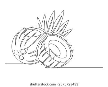 Continuous one line coconuts with palm leaves isolated on white background. Simple plant silhouette. Hand drawn coconuts outline. Editable stroke. Vector illustration