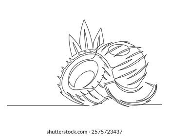 Continuous one line coconuts with palm leaves isolated on white background. Simple plant silhouette. Hand drawn coconuts outline. Editable stroke. Vector illustration