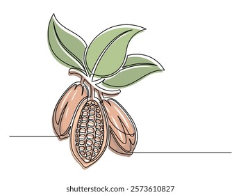 Continuous one line colorful cacao beans branch with leafs isolated on white background. Simple vegetable silhouette. Hand drawn cacao beans branch outline. Vector illustration