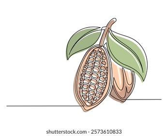 Continuous one line colorful cacao beans branch with leafs isolated on white background. Simple vegetable silhouette. Hand drawn cacao beans branch outline. Vector illustration