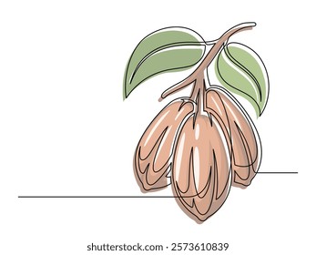 Continuous one line colorful cacao beans branch with leafs isolated on white background. Simple vegetable silhouette. Hand drawn cacao beans branch outline. Vector illustration