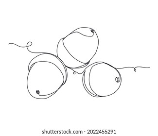 Continuous one line drawing of acorn in silhouette on a white background. Linear stylized.Minimalist.