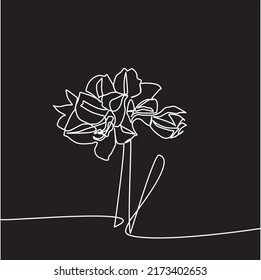 Continuous one Line drawing of Amaryllis blooms with linear art. Element of flower icon. Premium icon Thin line icon for website design and development, app development. Vintage style. Isolated black.