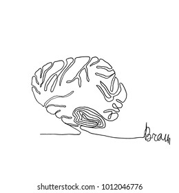 Continuous one line drawing. Anatomy humans brain. Minimalism style. Text Brain. Vector Ink illustration for your design,logo, card, banner, poster, flyer.