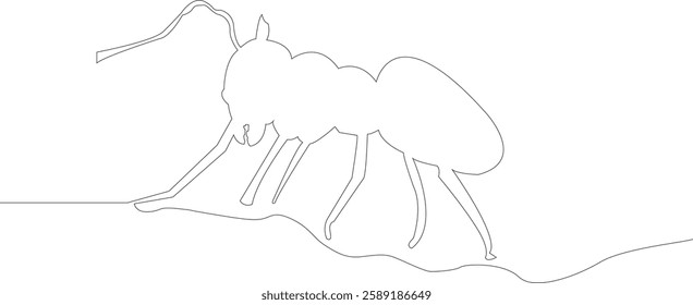 Continuous one line drawing of ant. One line drawing illustration of ant. Animal concept line art. Editable outline