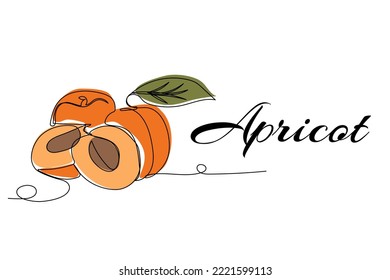 Continuous one line drawing of apricots. Vector illustration on isolated background.