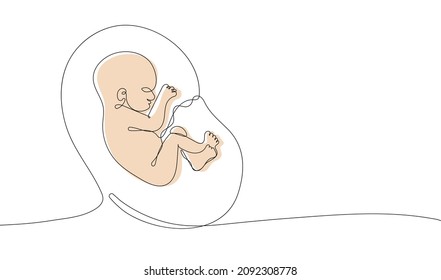 Dibujo continuo de una línea del bebé en el útero. Adecuado para una clínica prenatal o reproductiva, folleto sobre el embarazo, agencia de alquiler de vientres. Ilustración del vector