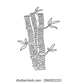 Continuous one line drawing bamboo trees for plantation logo identity. Fresh evergreen perennial flowering plant concept for plant icon. Swirl curl style. Single line draw design vector illustration