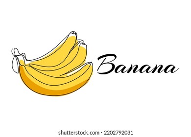 Continuous one line drawing of banana. Vector illustration on isolated background.
