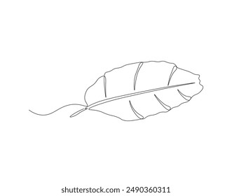 Continuous one line drawing of banana leaf. One line drawing illustration of banana leaf. Tropical leaf concept line art. Editable outline.
