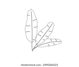 Continuous one line drawing of banana leaf. One line drawing illustration of banana leaf. Tropical leaf concept line art. Editable outline.
