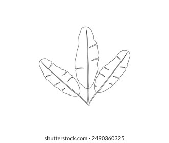 Continuous one line drawing of banana leaf. One line drawing illustration of banana leaf. Tropical leaf concept line art. Editable outline.

