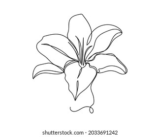 Continuous One Line Drawing Of Beautiful Lilly Flower Icon In Silhouette On A White Background. Linear Stylized.