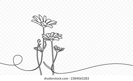 Continuous one line drawing of beautiful wild flowers chamomile vector design. Single line art illustration of nature landscape with beautiful field meadow flowers daisy on transparent background