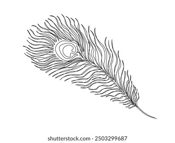 Continuous one line drawing of beautiful peacock feather. Peacock feather single line vector illustration. Editable line vector.