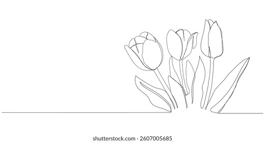 Continuous one line drawing of beautiful spring flowers vector design. Single line art illustration bouquet of tulips on transparent background