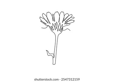 Continuous one line drawing of beauty fresh calendula for garden logo. Printable decorative marigold flower concept for home wall decor poster art. Single line draw design vector graphic illustration