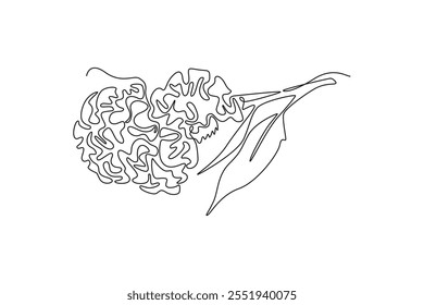 Kontinuierliche einzeilige Zeichnung Schönheit frisches Gehirn Celosia für Garten-Logo. Bedruckbare dekorative Cockscomb Blume für Home Dekor Wandkunst Print Poster. Vektorgrafik mit einfarbiger Zeichnung
