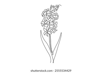 Continuous one line drawing beauty fresh hyacinthus for home wall decor poster art. Decorative hyacinth flower concept for greeting card ornament. Single line draw design vector graphic illustration