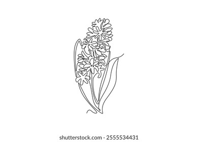 Continuous one line drawing beauty fresh hyacinthus for home wall decor poster art. Decorative hyacinth flower concept for greeting card ornament. Single line draw design vector graphic illustration