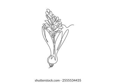 Continuous one line drawing beauty fresh hyacinthus for garden logo. Printable decorative hyacinth flower for home decoration wall art poster print. Single line draw design vector graphic illustration